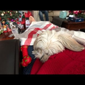 Meet your Posher, Sandra